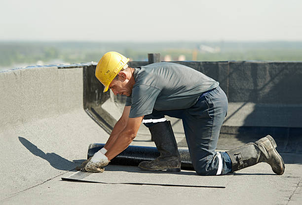 Best Energy Efficiency Solutions in Cold Spring, KY