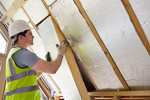 Best Insulation Installation Services in Cold Spring, KY