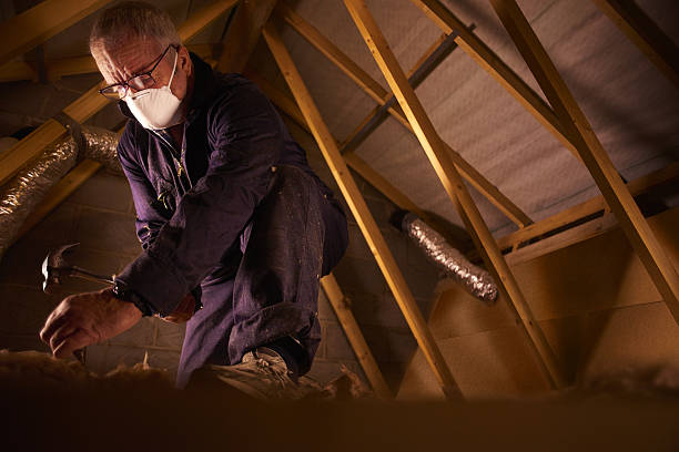 Best Commercial Insulation in Cold Spring, KY